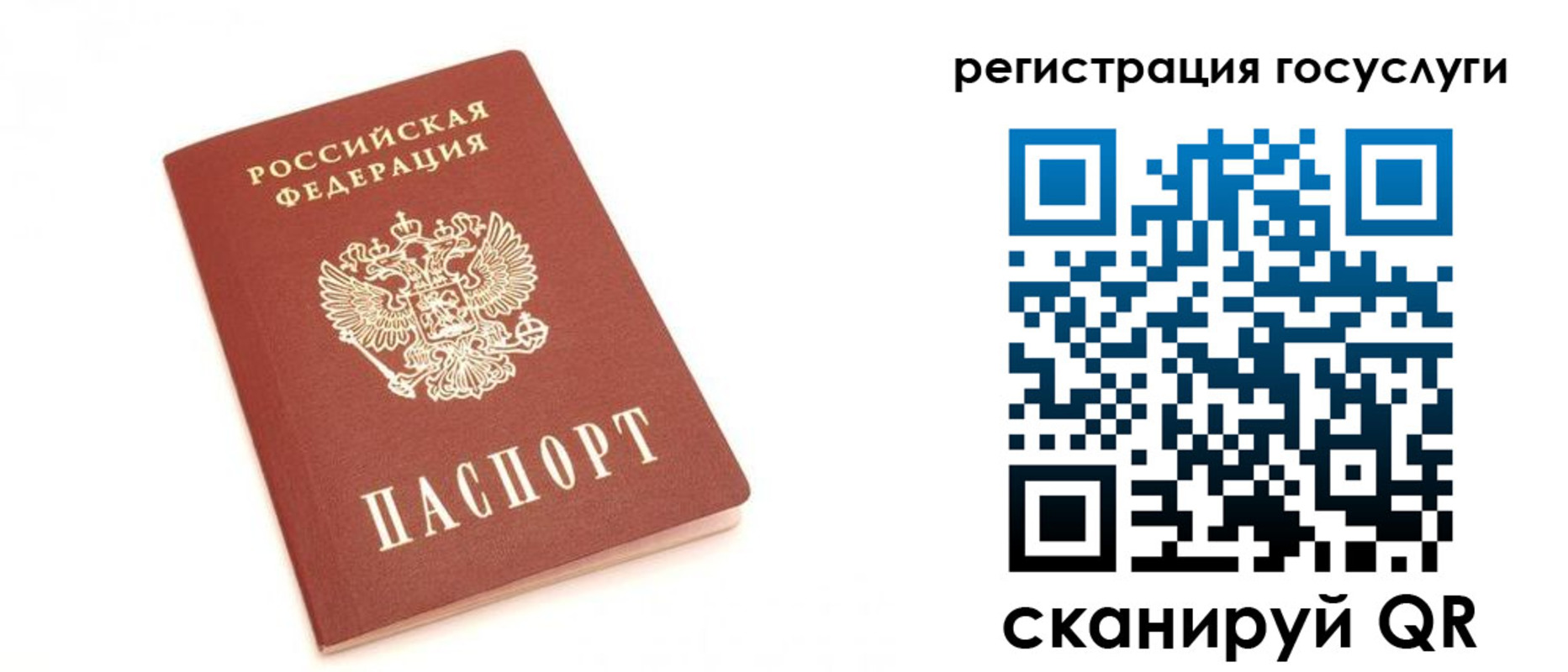 прописка для школы в Сальске